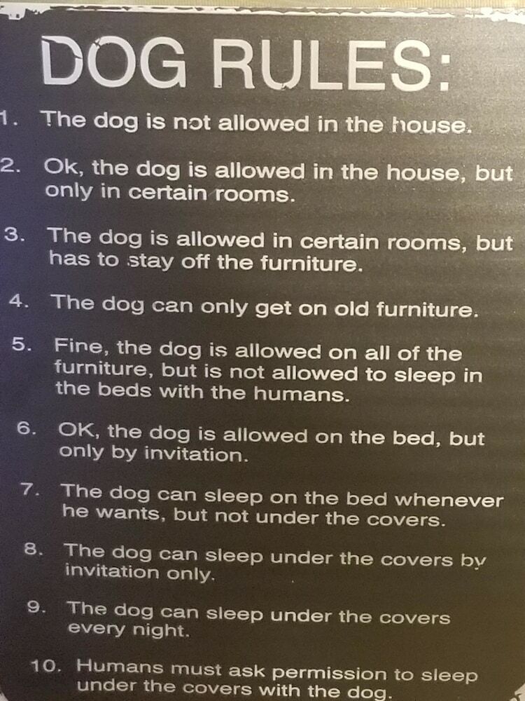 Family Friendly (Pets Welcome)