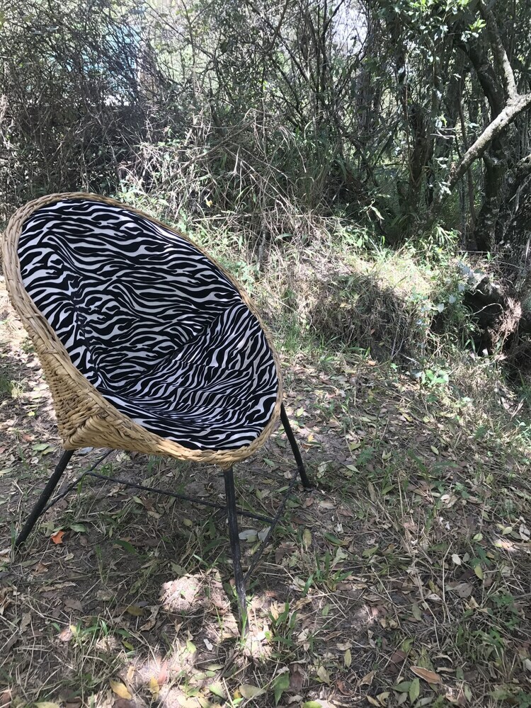 Jackleberry Safaris