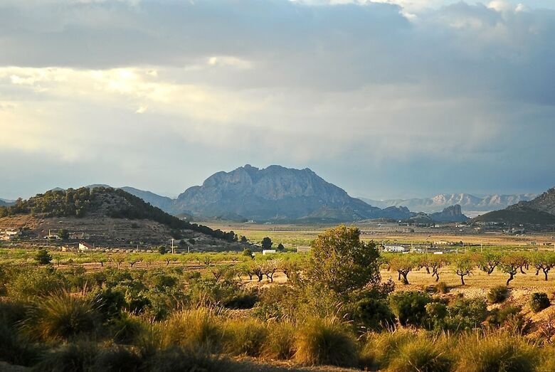 Agroturismo Cortijo de Los Castellanos
