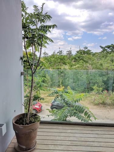 Verde Apartments