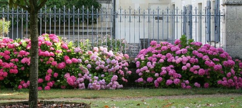 Bed & Breakfast Ch�teau de Bournand