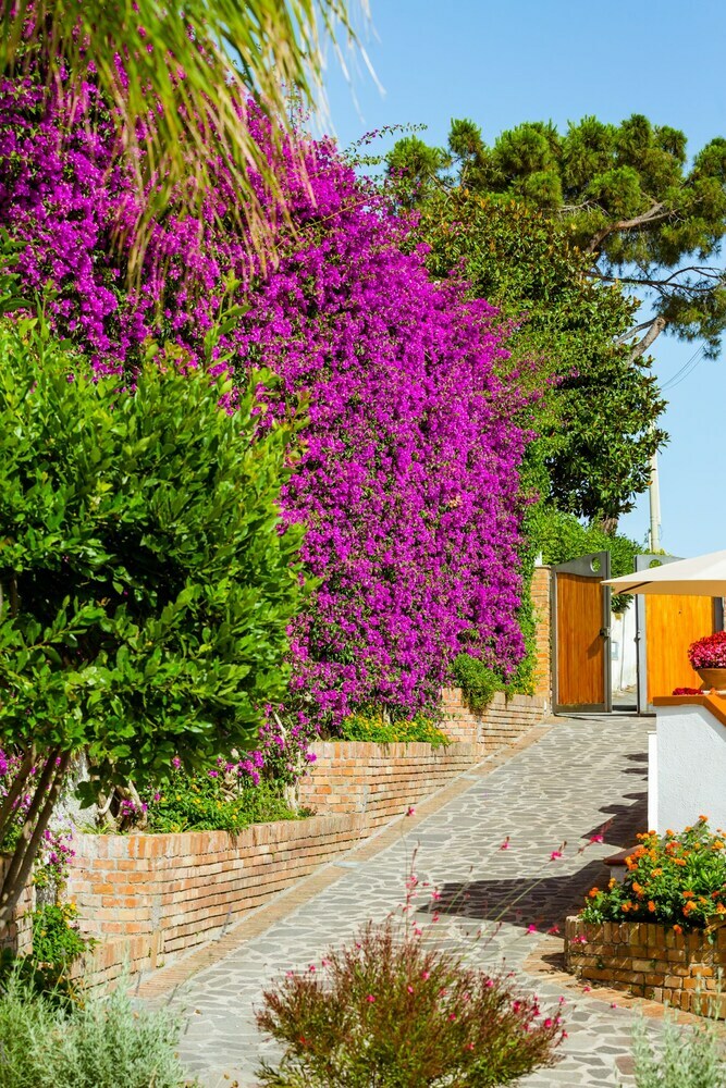 Bed & Breakfast Villa Araucaria