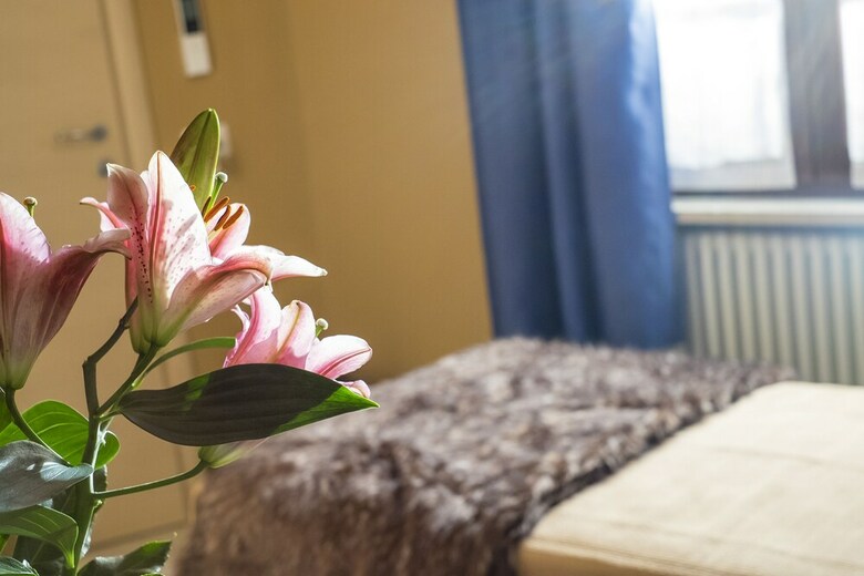 Hotel Romeo House Affittacamere