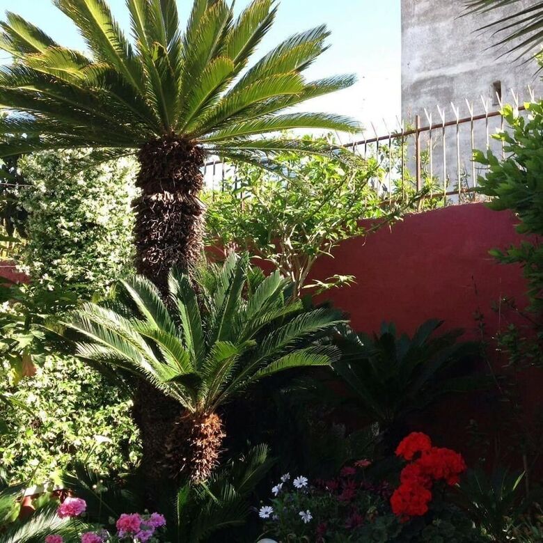 Bed & Breakfast Dimora Benedetta