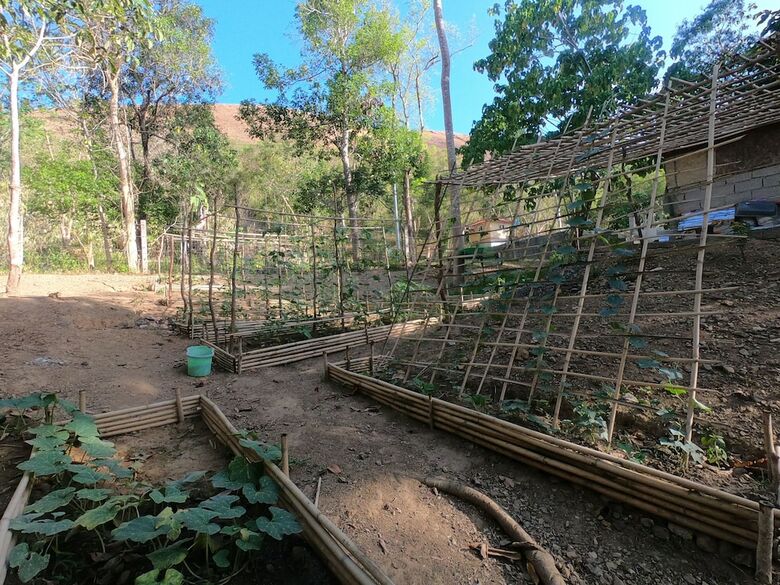 Hotel Mount Avangan Eco Adventure Park