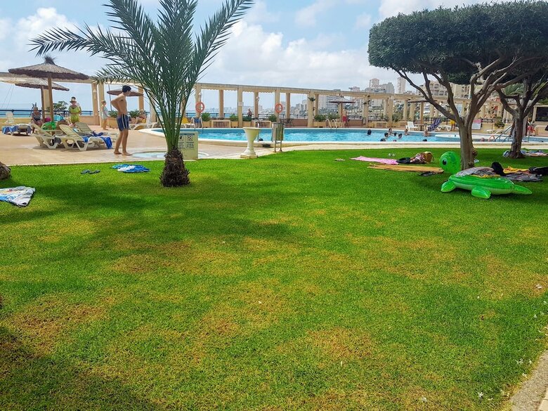 Apartamento Maritimus