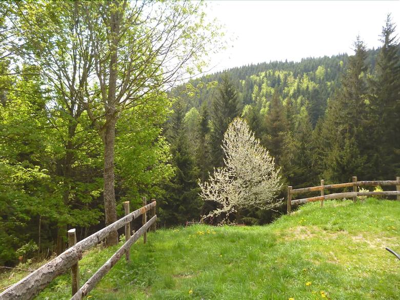 Le Perce Neige Les Bruy�res de Gaschon