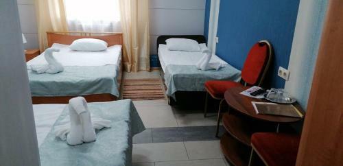 Koncert Hotel