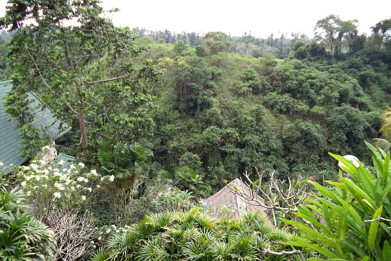 Bed & Breakfast Sunrise Villa Ubud