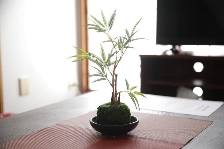 Omotenashi House Part 1 (174-1)
