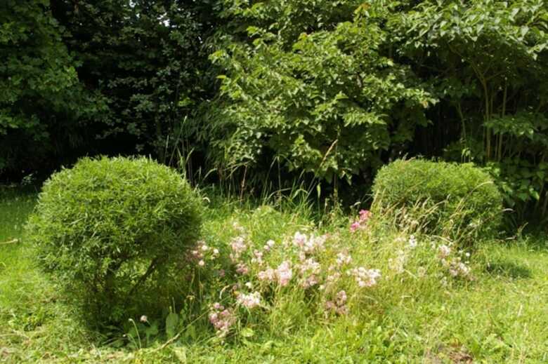 Bed & Breakfast Le Clos Des R�ves