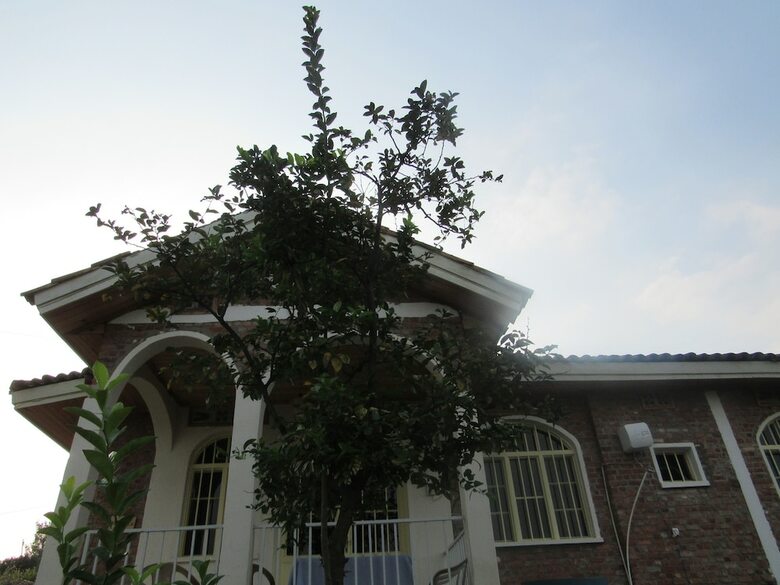 Hotel Rebero Kivu Resort