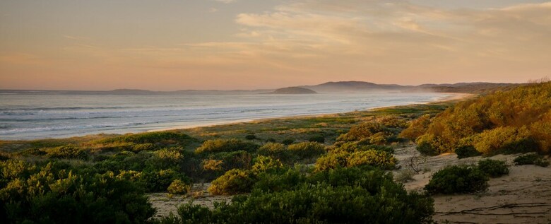 Wairo Beach Holiday Park