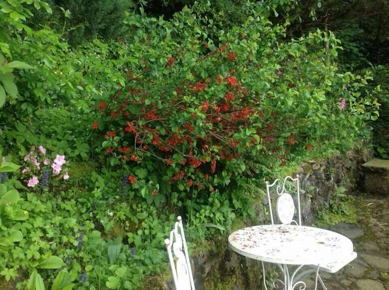 Bed And Breakfast - Principessa Turlonia