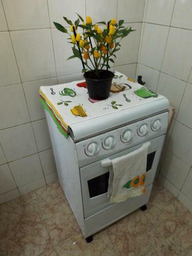 Bed & Breakfast Guesthouse Iara