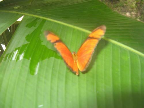 Hostal Rio Natureza Apart 109 E 110