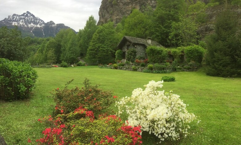 Casa Vacanze Le Primule