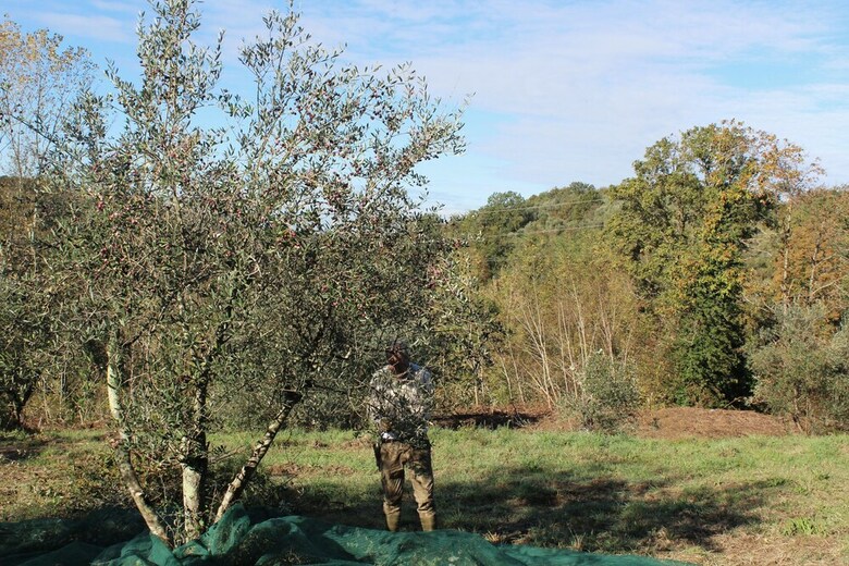 Agroturismo Agriturismo Due Comuni