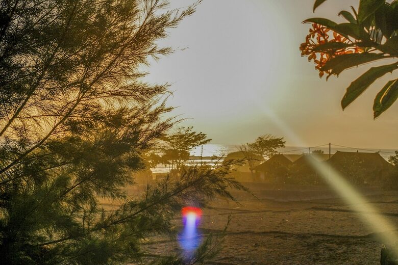 Bed & Breakfast The Anara Surfing Camp