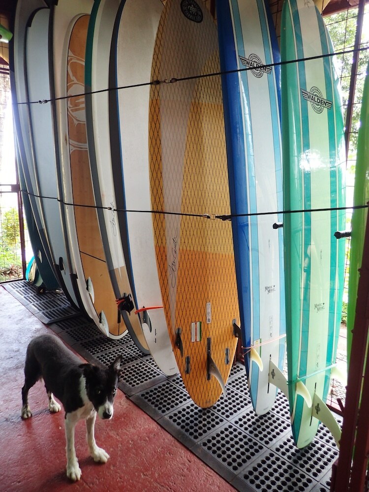 Hotel Morrillo Beach Eco Resort