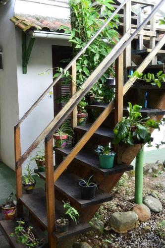 Hostal Pousada O Flautista