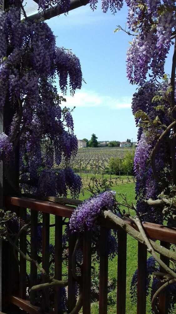 Bed & Breakfast Ch�teau Papounan