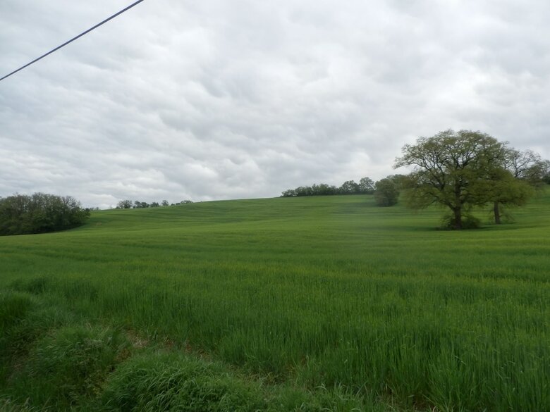 Bed & Breakfast Le Moulin Des Marionnettes