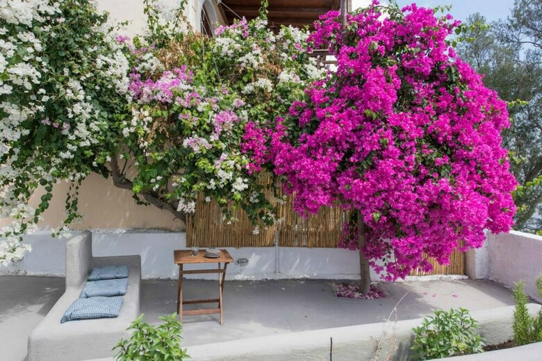 Apartamentos Euphoria Suites