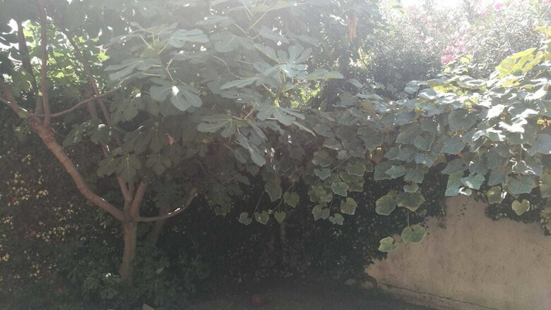 Apartamento La Maisonette Et Son Jardin