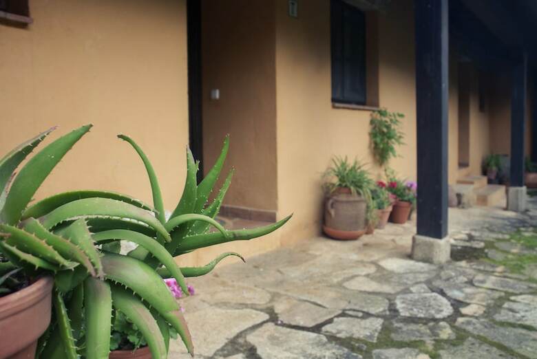 Apartamentos El Calambuco