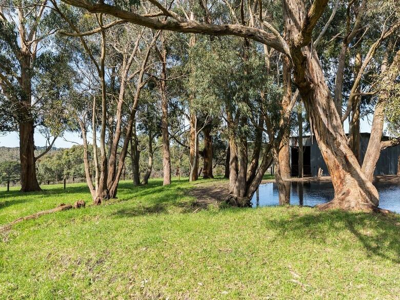 Green Olive At Red Hill