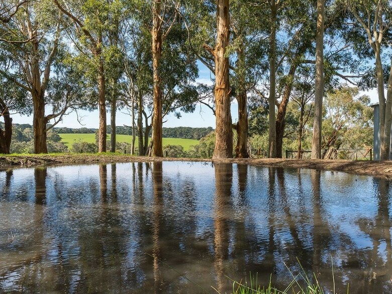 Green Olive At Red Hill