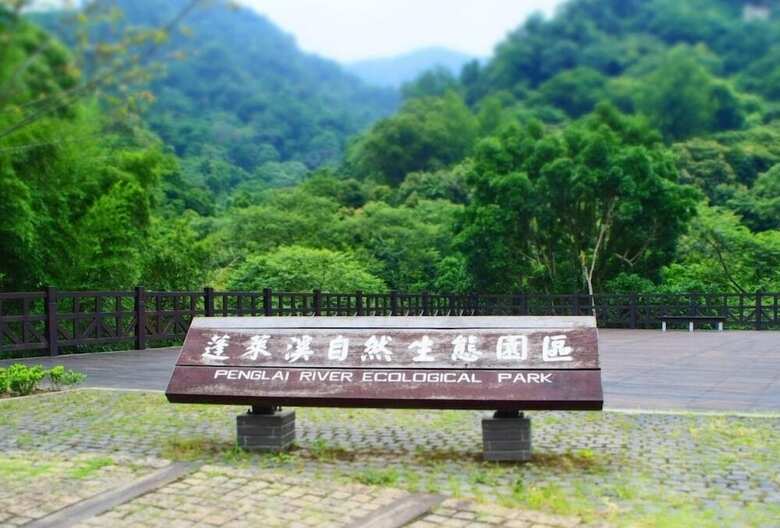 Bed & Breakfast Nanzhuang Olive Tree
