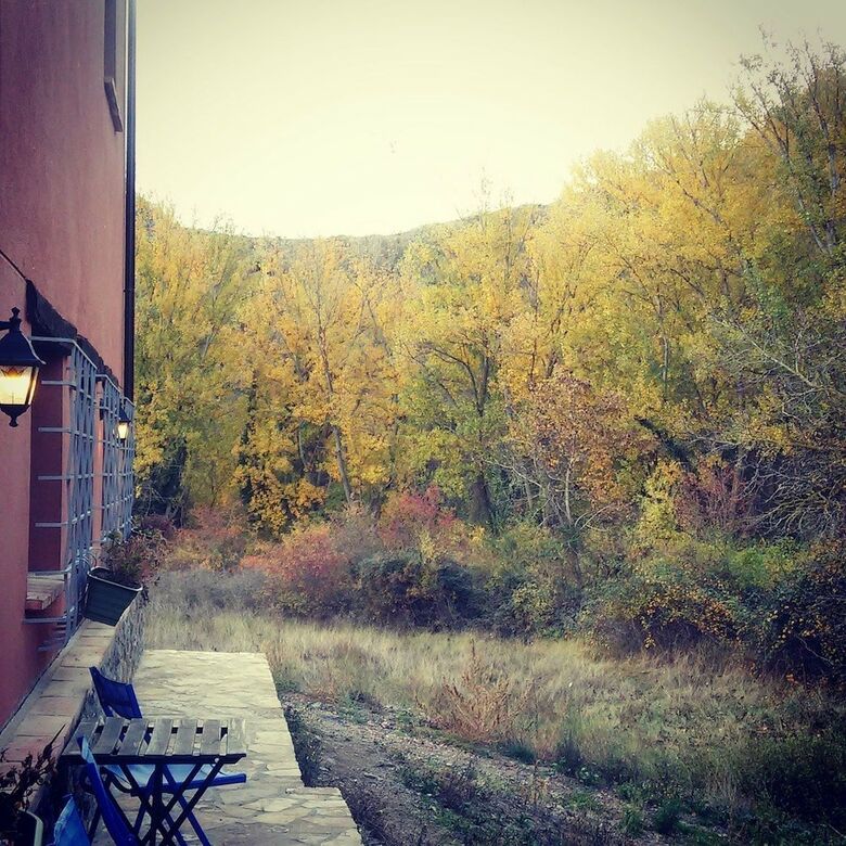 Hostal El T�o Carrasc�n