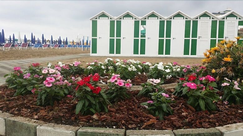Hotel Annalisa B&B And Beach