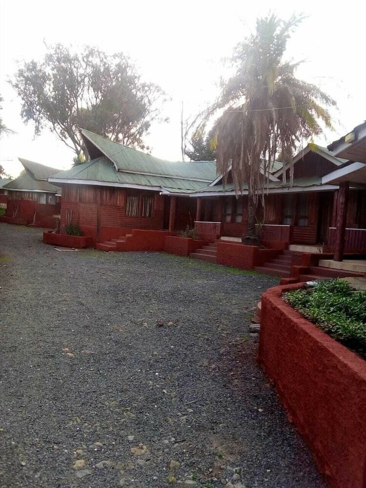 Hotel Eel