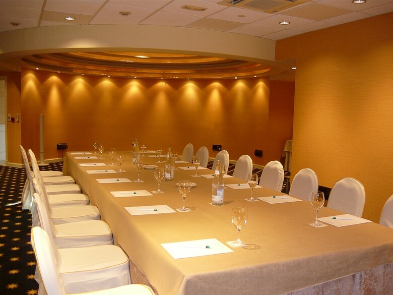 Gran Hotel Guadalpin Banus