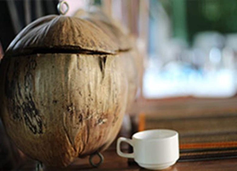 Hotel The Coconut House Villa