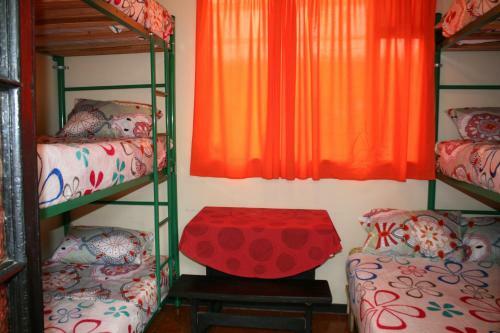 Hostal Tip Top Backpackers