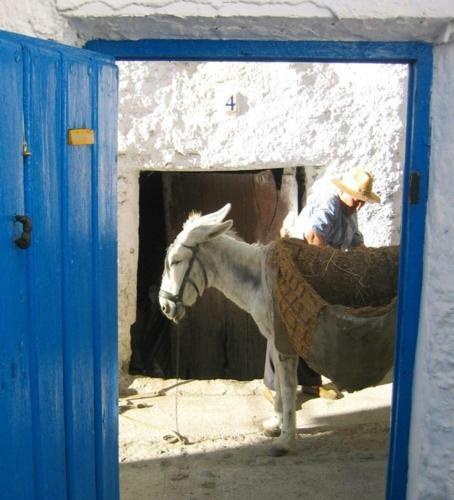 Bed & Breakfast Sierra Y Mar