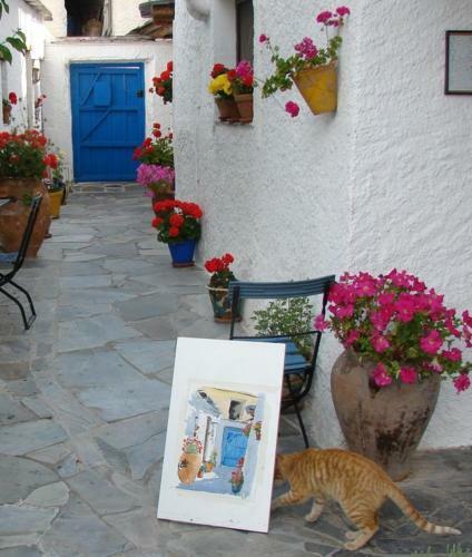 Bed & Breakfast Sierra Y Mar