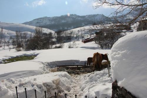 Hostal Centro De Turismo Rural Vegalion