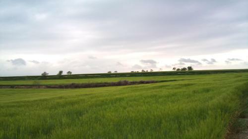 Hostal Mas�a Cal Guim