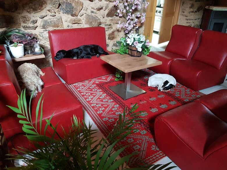 Hostal Casa Felisa Marcelle