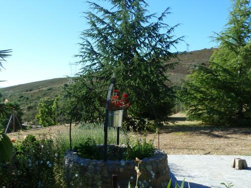 Hostal Pension Riego De Ambros