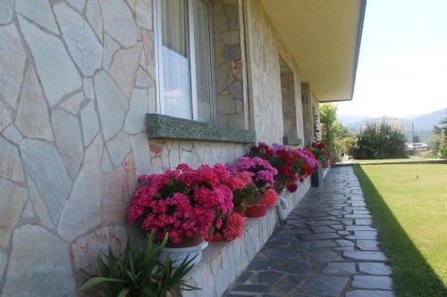 Hostal Pension Riego De Ambros