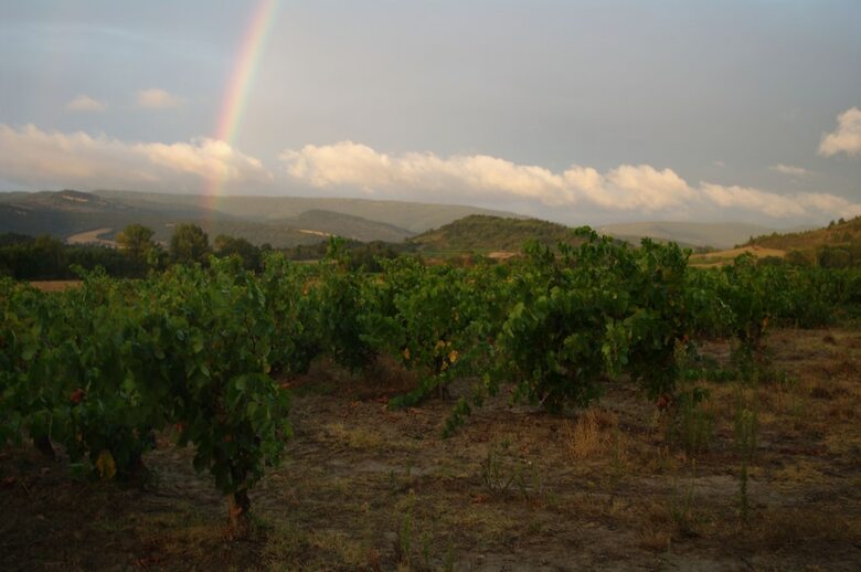 Agroturismo Le G�te Vigneron