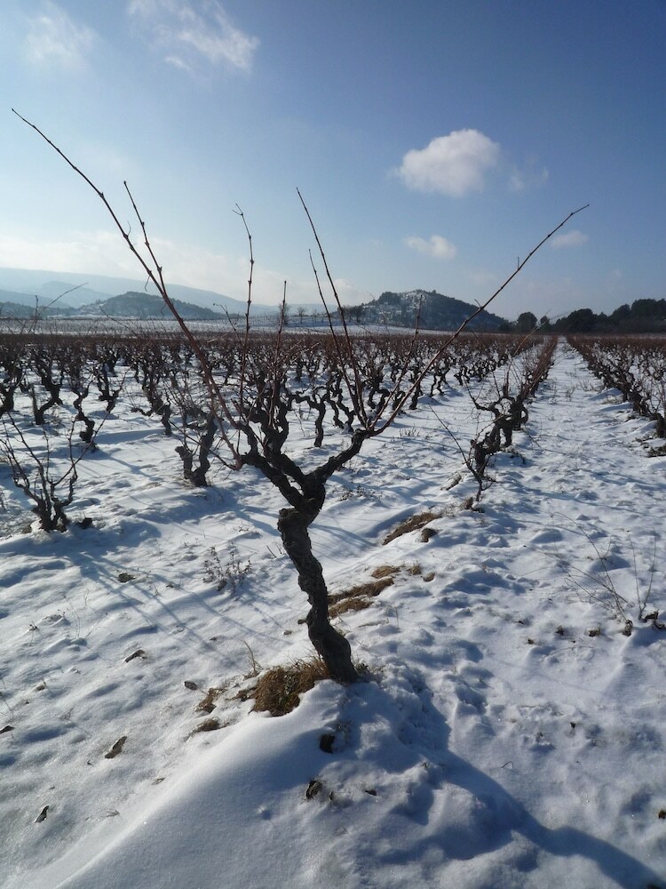 Agroturismo Le G�te Vigneron