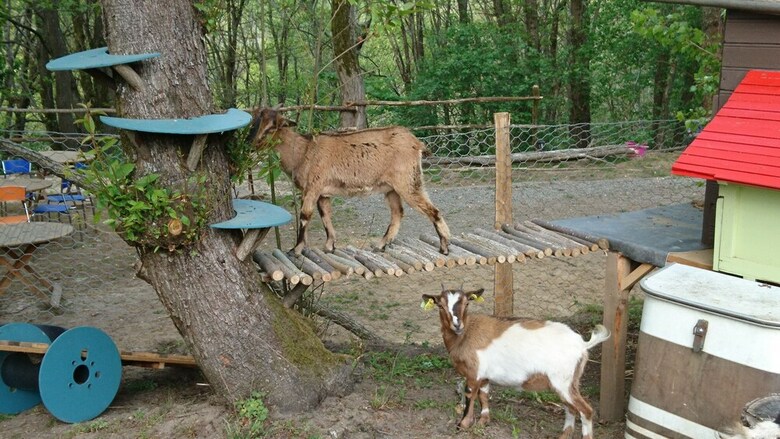 Camping De Montmaurin