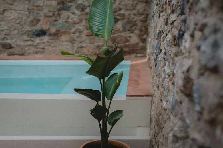 Apartamentos Pizarro 1930